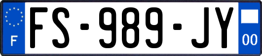 FS-989-JY