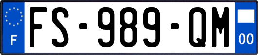 FS-989-QM