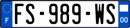 FS-989-WS