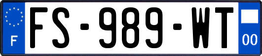 FS-989-WT