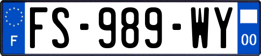 FS-989-WY