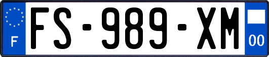 FS-989-XM