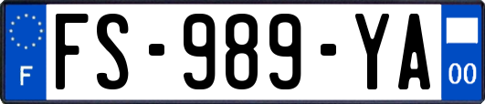 FS-989-YA