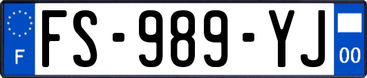 FS-989-YJ