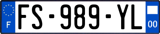 FS-989-YL