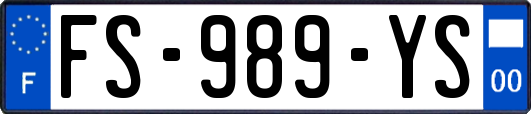 FS-989-YS