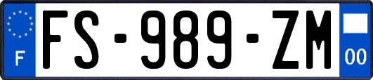 FS-989-ZM