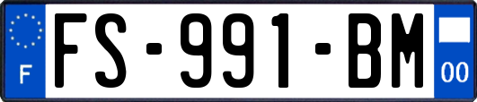 FS-991-BM