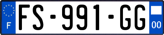 FS-991-GG