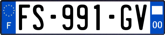 FS-991-GV