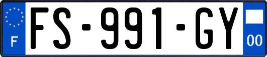 FS-991-GY