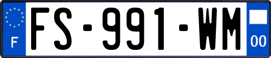FS-991-WM