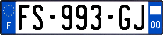 FS-993-GJ