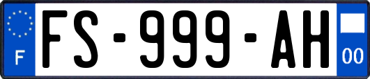 FS-999-AH