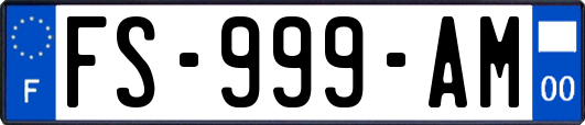 FS-999-AM