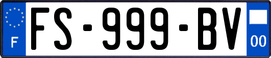 FS-999-BV