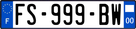 FS-999-BW