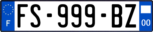 FS-999-BZ