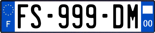 FS-999-DM