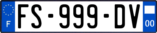 FS-999-DV