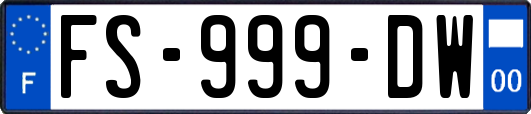 FS-999-DW