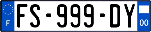 FS-999-DY