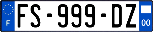 FS-999-DZ
