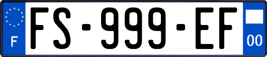 FS-999-EF