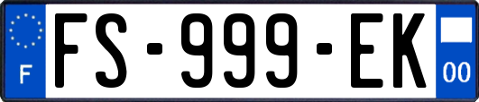 FS-999-EK