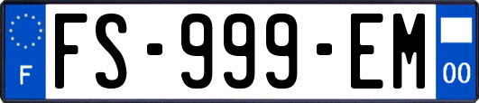 FS-999-EM