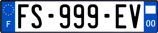 FS-999-EV