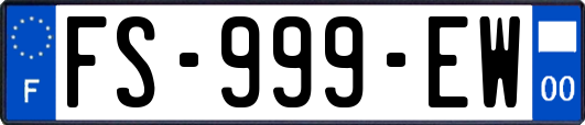 FS-999-EW