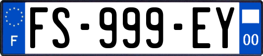 FS-999-EY