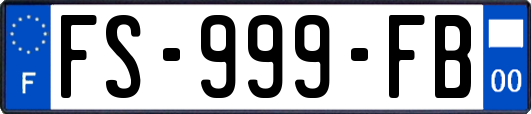 FS-999-FB