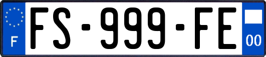 FS-999-FE