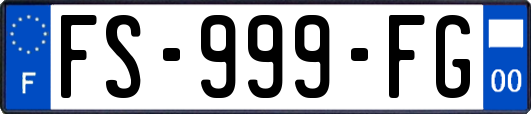 FS-999-FG