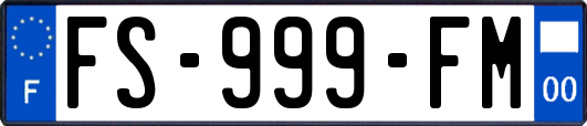 FS-999-FM