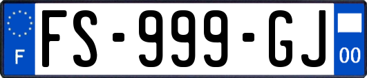 FS-999-GJ
