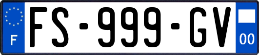 FS-999-GV