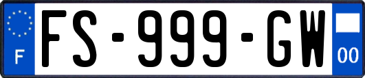 FS-999-GW