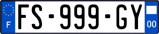 FS-999-GY