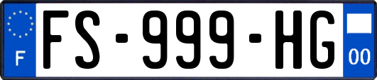 FS-999-HG