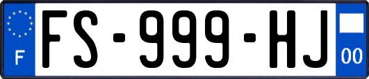 FS-999-HJ