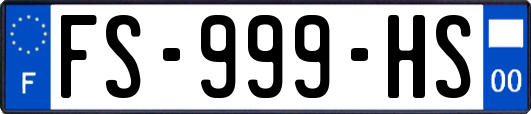 FS-999-HS