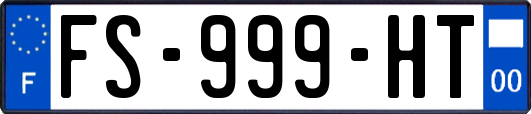 FS-999-HT