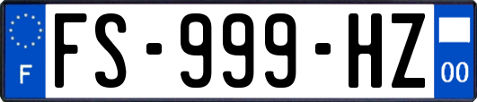 FS-999-HZ