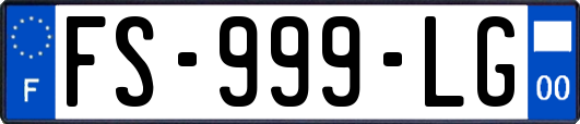 FS-999-LG