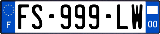 FS-999-LW