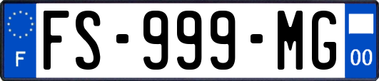 FS-999-MG