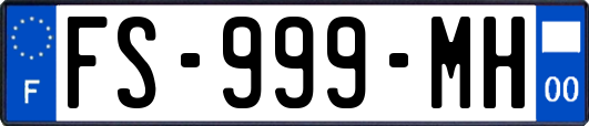 FS-999-MH